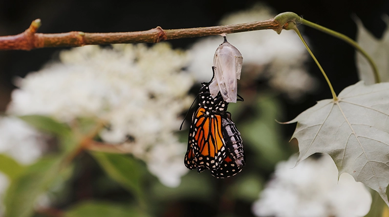 Change Becomes July’s Constant